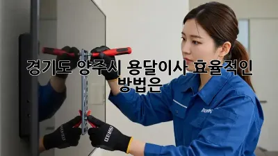 경기도 양주시 용달이사, 효율적인 방법은?